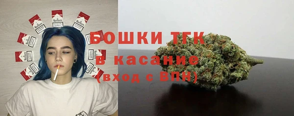spice Михайлов