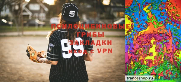 spice Михайлов
