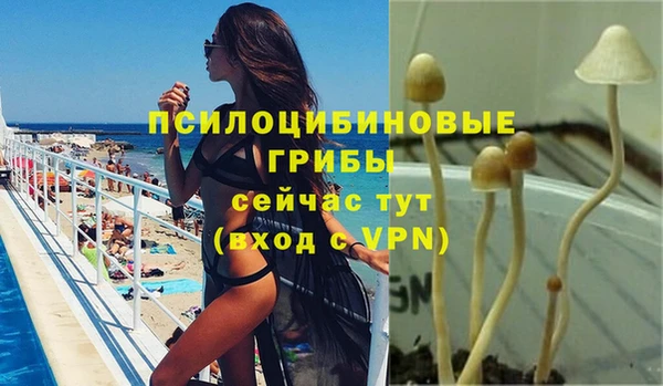 spice Михайлов