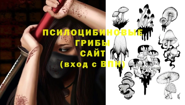 гидра Михайловск