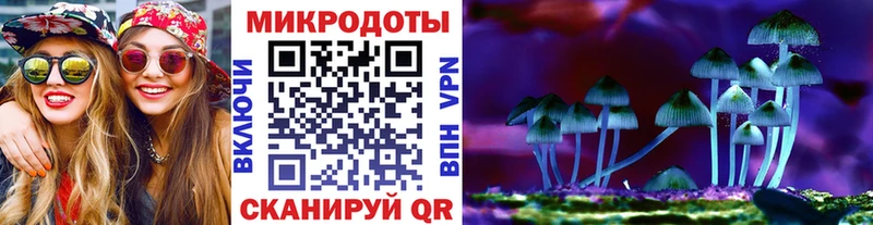 продажа наркотиков  Нефтегорск  Галлюциногенные грибы Psilocybine cubensis 